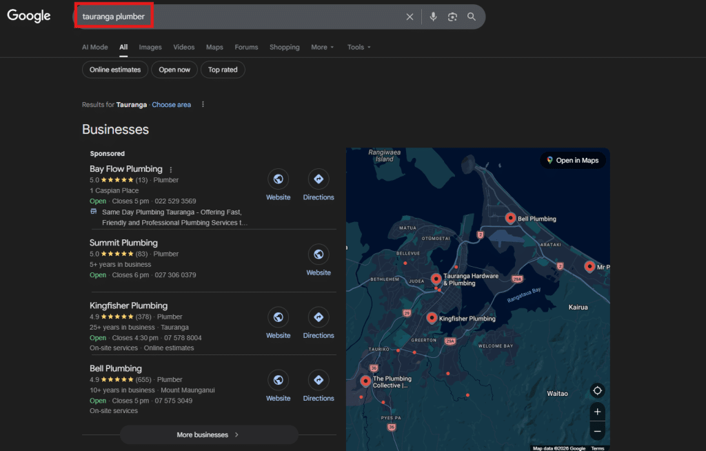 Screenshot of search results for ‘tauranga plumber’ showing Google Business Profiles.